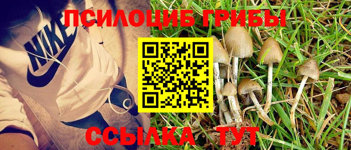 Галлюциногенные грибы ЛСД Белая Калитва